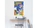 Poster REINDERS "Sonic the Hedgehog - sonic & tails", blau (farbe bild(er): blau), B:61cm H:91,5cm T:0,1cm, Holzwerkstoff, Bilder, Poster