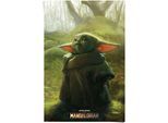 Poster REINDERS "Baby Yoda Grogu", grün (farbe bild(er): grün), B:61cm H:91,5cm T:0,1cm, Papier, Bilder, Poster