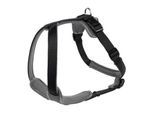 Hunter Geschirr Neopren schwarz/ grau M-L