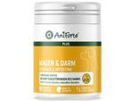 AniForte Plus Magen & Darm 90 Tabletten