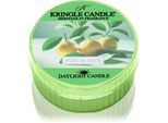 Kringle Candle Yuzu & Sage theelichtje 42 g