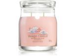 Yankee Candle Watercolour Skies geurkaars Signature 368 g