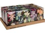 Potpourri MIX