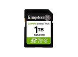 Kingston Canvas Select Plus - Flash-Speicherkarte - 1 TB - Video Class V30 / UHS-I U3 / Class10 - SDXC UHS-I