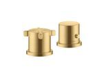 hansgrohe Fertigset Axor Citterio E 2-L-W-Ran-Arm, m Thermostat, brush. gol opt (36412250)