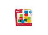 BRIO Spiel Magnetische Holzbausteine