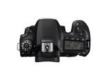 Spiegelreflex EOS 90D - Schwarz + Canon EF-S 18-55mm f/3.5-5.6 IS STM f/3.5-5.6