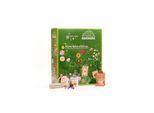 Adventskalender "Kleine Naturerlebnisse"