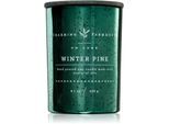 DW Home Charming Farmhouse Winter Pine geurkaars 230 g