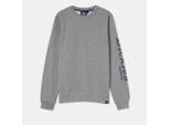 Kapuzensweatshirt DICKIES "Dickies Workwear Sweatshirt OKEMO GRAPHIC SWEATSHIRT", Mädchen, Gr. 3XL, grau (grau melange), Obermaterial: 80% Baumwolle, 20% Polyester, Sweatshirts