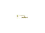 Grohe Kopfbrauseset Rainshower Mono 310 Brausearm 42,2cm, cool sunrise (26558GL0)
