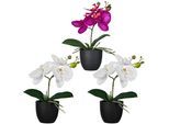 Kunstorchidee CREATIV GREEN "Orchidee Phalaenopsis", bunt, H:23cm, Kunststoff, Kunstpflanzen, mit naturgetreuen Blüten