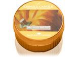 Kringle Candle Sugar Pumpkins theelichtje 42 g