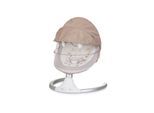Chipolino Babywippe Brida, Fernbedienung Moskitonetz, Kissen, Plüschtiere, Timer beige