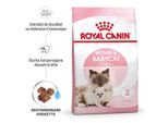 ROYAL CANIN Mother & Babycat 2 kg
