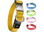 Petsation Leuchthalsband Hundehalsband gelb XS