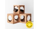 DoPetMe Katzenhaus The Kitten Castle