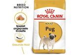 ROYAL CANIN Mops Adult 3 kg