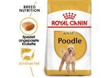 ROYAL CANIN Poodle Adult 3 kg
