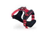 Lionto Hundegeschirr rot XL