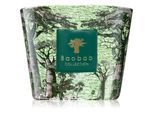 Baobab Collection Sacred Trees Touba geurkaars 500 g