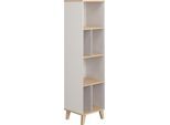 Standregal PAIDI "FIENE in Grau mit 6 offenen Fächern, 48x181x40cm", grau (kieselgrau, scandinavian wood), B:181cm H:48cm T:40cm, Regale, Standregal, stabiles und langlebiges Regal aus Holz, geprüfte Qualität