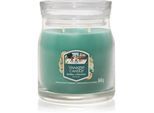 Yankee Candle Holiday Winterfest geurkaars Signature 368 g