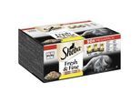 Sheba Mega Pack Fresh & Fine in Sauce mit Huhn, mit Geflügel, mit Truthahn 50 x 50g