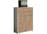 Aktenschrank Office Edition Grau/Eichefarben
