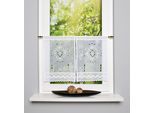 Scheibengardine HOME WOHNIDEEN "ALEGRA" Gr. 1, weiss (weiß), B:30cm H:45cm, Polyester, Gardinen, Scheibengardine