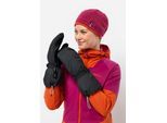 Jack Wolfskin Skihandschuhe »ALPSPITZE 3IN1 GLOVE«