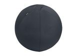 Sitzball LEITZ "Active 55 cm Dunkelgrau", grau (dunkelgrau), B:55cm H:55cm T:55cm, Polyester, Bälle, Sitzball