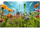 Artland Wandbild "Buntes Blumenfeld" Blumenwiese 1 Stk. tlg. als Alubild, Outdoorbild, Leinwandbild, Poster, Wandaufkleber