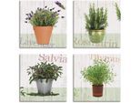 Artland Leinwandbild »Lavendel, Rosmarin, Salbei, Thymian« Pflanzen 4 Stk. tlg. 4er Set, verschiedene Grössen