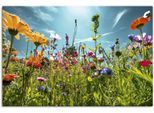 Artland Wandbild »Buntes Blumenfeld« Blumenwiese 1 Stk. tlg. als Alubild, Outdoorbild, Leinwandbild, Poster, Wandaufkleber