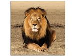 Artland Wandbild »Löwe« Wildtiere 1 Stk. tlg. als Alubild, Outdoorbild, Leinwandbild, Poster, Wandaufkleber