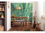 Fototapete KOMAR "Digitaldruck Vlies - Foggy Fern - Größe 400 x 250 cm", grün, Rollen: 1, Vlies, Tapeten, Wohnzimmer, Schlafzimmer