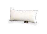 Synthetikkopfkissen STENDEBACH "S-Loft Kissen, voluminös und kuschelig", beige (champagner), B:40cm H:15cm L:80cm, Bezug: 100% Baumwolle. Füllung: 100% Polyester, Kopfkissen, Kopfkissen 40x80, 80x80 cm, Allergiker geeignet (Hausstauballergiker)