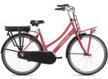 E-Bike HOLLANDIA "Carry On" Gr. 54, rot (himbeer, himbeer), Elektrofahrräder, 54cm, 28 Zoll (71,12cm), Pedelec, Elektrofahrrad für Damen u. Herren