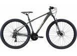Mountainbike BIKESTAR Gr. 43, grün, Fahrräder, 43cm, 29 Zoll (73,66cm), für Damen und Herren, Kettenschaltung