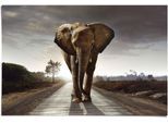 Poster REINDERS "Elefant Wanderung", braun (farbe bild(er): braun), B:91,5cm H:61cm, Papier, Bilder, Poster