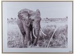 Bild mit Rahmen CREATIV HOME "Elefant", schwarz-weiss (farbe rahmen: hellbraun, farbe bild(er): schwarz, weiß), B:80cm H:60cm T:2,5cm, Canvas, Kunststoff, Bilder, Bild mit Rahmen, mit schwarz-weissem Motiv