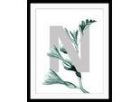 queence Bild »N-Flower« Buchstaben Pflanzen Pflanzenbilder