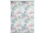 LICHTBLICK ORIGINAL Seitenzugrollo "Rollo Klemmfix, ohne Bohren, blickdicht, Flamingo - Rosa Grün" blickdicht Blendschutz Sichtschutz freihängend