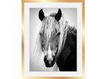 Bild QUEENCE "Pferdekopf", schwarz (farbe rahmen: schwarz, farbe bild(er): schwarz), B:40cm H:50cm T:3cm, Acrylglas, Holz, Papier, Bilder, Bild, HD Premium Poster-Druck inkl. Holzrahmen in schwarz
