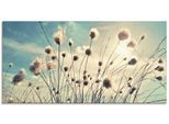 Artland Glasbild »Wollgras« Gräser 1 Stk. tlg. in verschiedenen Grössen