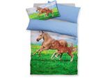 Bettwäsche MY HOME "Lyki", pferd, B/L: 135cm x 200cm, 1 Stk., 1 Stk., Microfaser, B/L: 40cm x 80cm, 2, Microfaser, Obermaterial: 100% Polyester, Bettwäsche, Bettwäsche, ab Grösse 135x200 cm, 100% Polyester, Katze, Pferd, Löwe, Pinguin