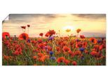Artland Wandbild "Mohnblumen" Blumen 1 Stk. tlg. als Alubild, Outdoorbild, Leinwandbild, Poster, Wandaufkleber