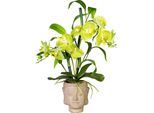 Orchideen-Bambus Arrangement, im Zementtopf Buddha, grün real touch, Höhe ca. 600 mm kaiserkraft