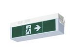Notleuchte, C-LUX STANDARD UM 1h/2h/3h/8h LED AT, LiFePO4 3,2 V / 1,5 Ah kaiserkraft